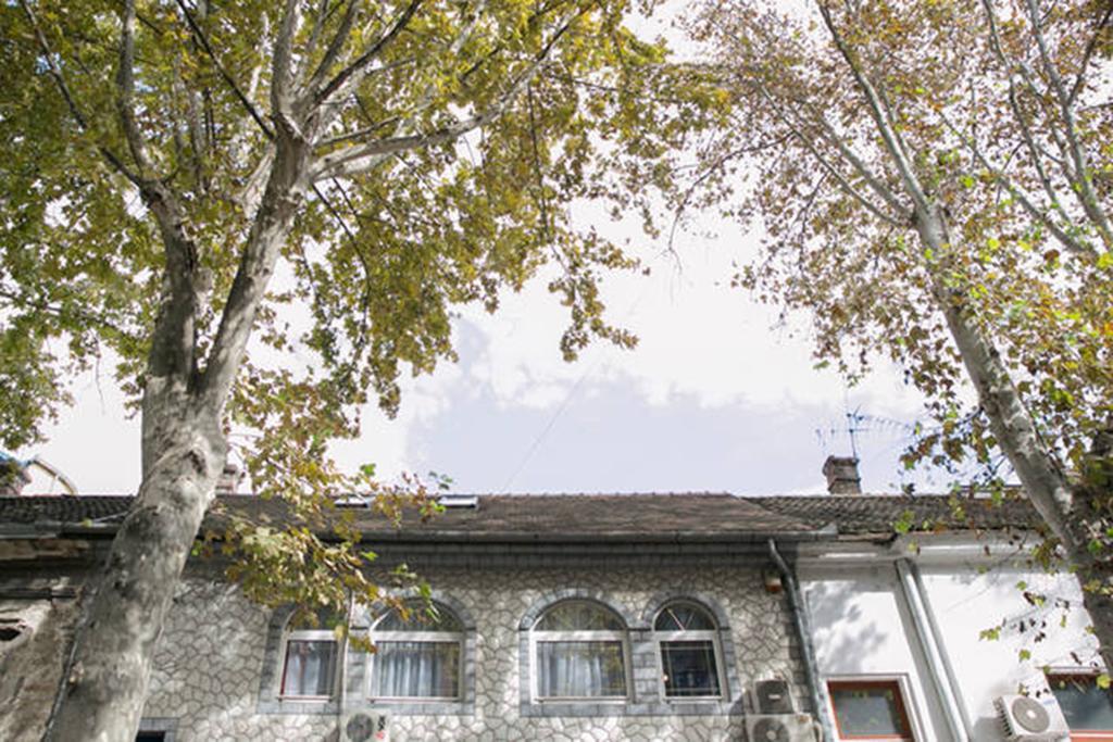 Kona Apartment Belgrade Extérieur photo